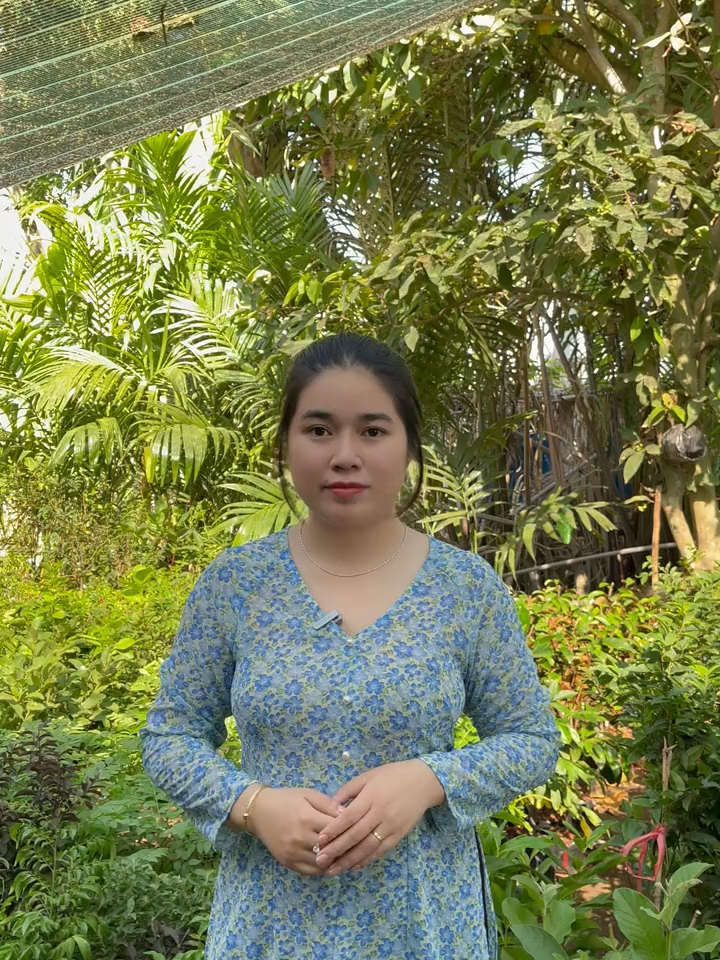 Khi đăng video này lên bên e biết sẽ nhận được ý kiến trái chiều. Nhà vườn em mong anh chị thông cảm và hiểu cho shop. Anh chị đã mua cây bên e chưa hài lòng về vấn đề gì cho em xin ý kiến để shop ngày càng cải thiện tốt hơn. Cảm ơn anh chị #huyenlinhgarden #vuacaygionghuyenlinh