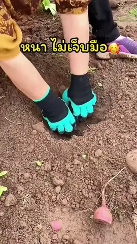 ขุดดินสะดวก พรวนดินว่องไว ไม่ต้องใช้อุปกรณ์เยอะ ต้องถึงมือคู่นี้เลย😍 #ถุงมือขุดดิน #ถุงมือพรวนดิน #ถุงมือทำสวน #ของใช้ในสวน #ของดีบอกต่อ #ที่สุดแห่งปี #fyp 