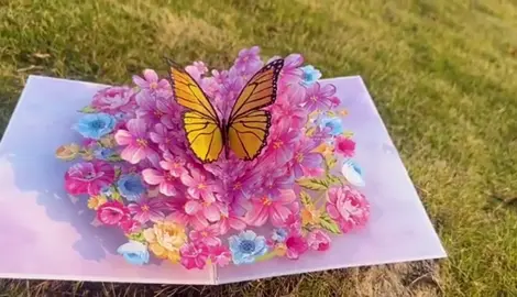 3d butterfly pop up card birthday greeting cards