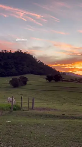 💚💚💚💚 #natureza #nature #paisagem #vidanaroça #fazenda #vidanocampo #roça #rural #pordosol #entardecer 