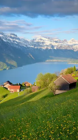 Beautiful Sunset at Lake Walensee #switzerland #swissaround #tiktoktravel #landscape #nature 