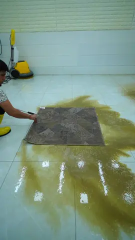 This mud isn’t going to end #satisfying #asmr #carpetcleaning #soclean #oddlysatisfying 