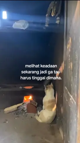 #tntngdandi #TTPetualangNewbie #sadvibes 