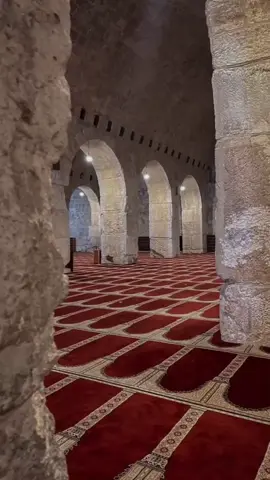 هل أتى على الإنسان حين من الدهر #عصام حمود