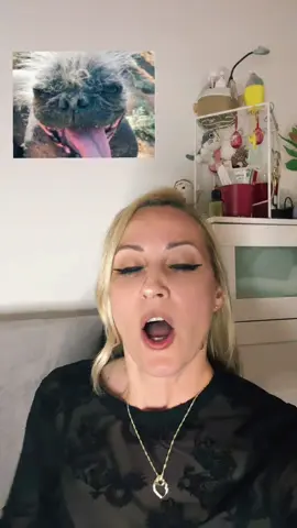 @Médi🧿 😂#tájmi #magyartiktok #joszia #freetimi #nekedbe #foryou 