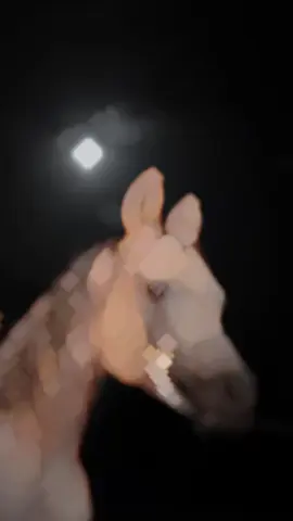 جيت لكن كل شي حلاته باوله  #نادر_الشراري #اكسبلورexpxore  @نادر الشراري #foryou 