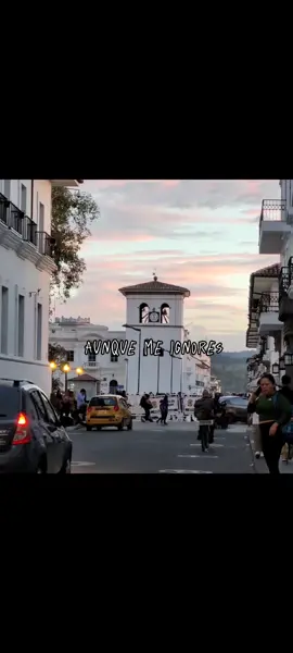 Aunque me ignores 😌♥️🎶 #determinameunpoquito #luisalbertoposada @Luis Alberto Posada #musicapopular #musicapabeber #musicadecantina 