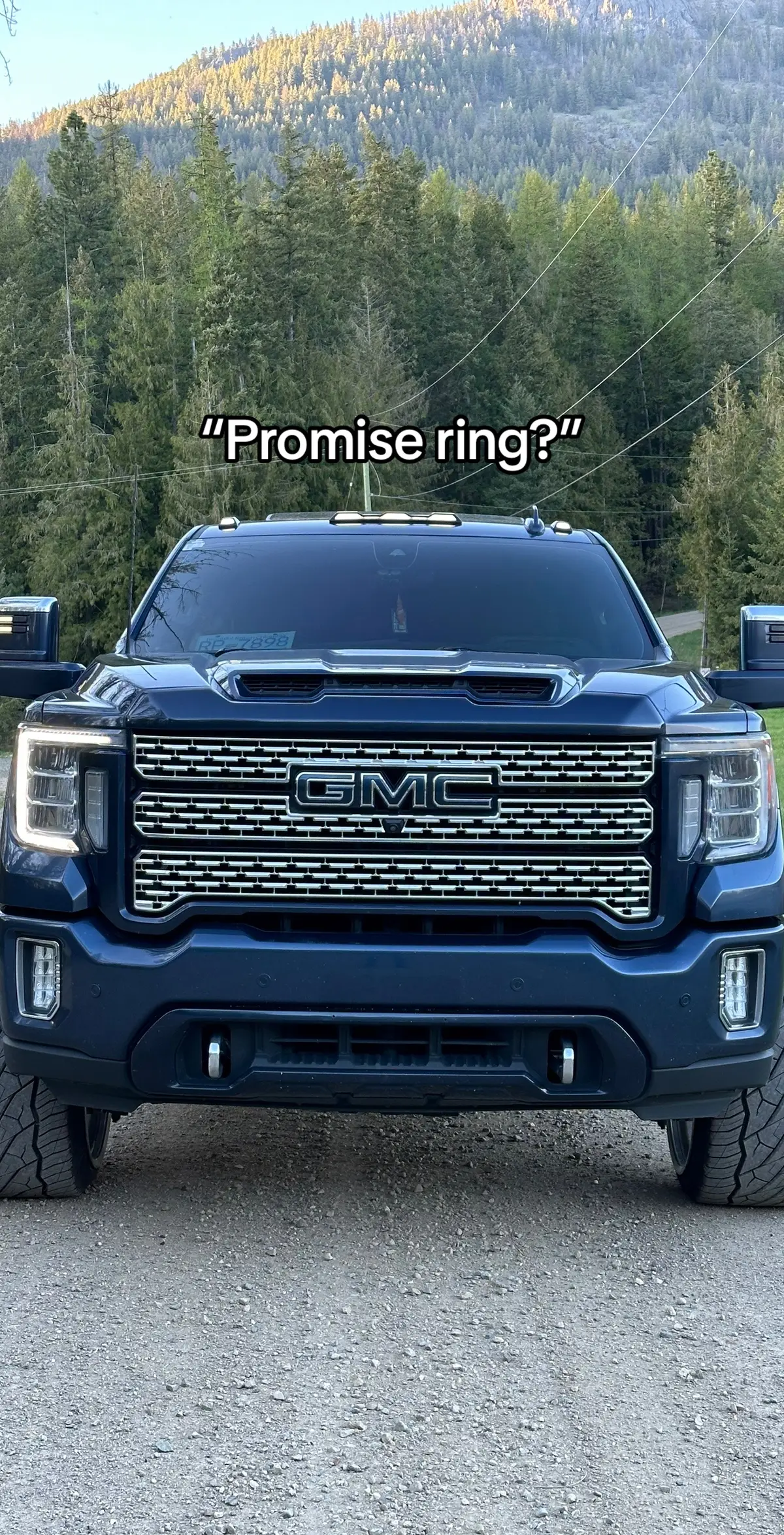 #promisepuppy #jokes #funny #dogsoftiktok #duramax #l5p #girlswithdiesels #girlswithtrucks #trucks #doggos 