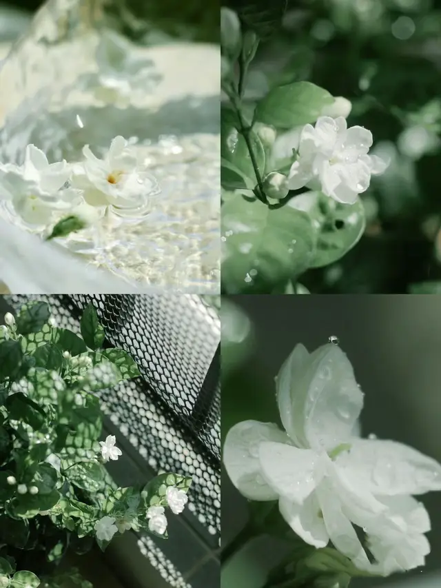 Em không tin vào duyên phận, cho đến khi em gặp anh. #thichhoa #hoanhai #hinhnen #xuhuong #xuhuongtiktok 