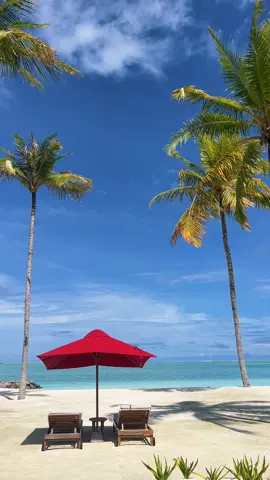 What a beautiful morning 🌴🌺 #Maldives #barcelowhalelagoonmaldives 