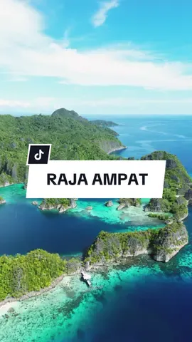 Apakah ini yang dimaksud dengan surga dunia?🥹🌴 #rajaampat #thelastparadise #amaiwakatobi 