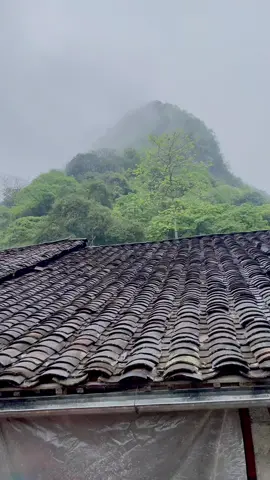 Hay là mình về Cao Bằng mình sống nha anh. Cuộc sống ở quê nó giản dị chứ nó yên bình lắm ...có gì mình ăn đấy nha anh😊#congvieccuatoi #cuộcsốnghằngngày #nhungcaunoihay #xuhuong #quêtôi 