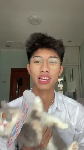 adu kucing bang #fyp #fypシ 