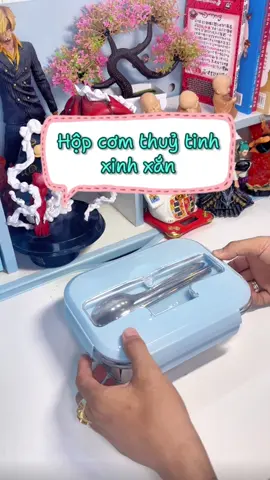 Hộp cơm văn phòng xinh. #hoanganhshop #hoanganhshop224 #hopdungcom #hopthuytinh3ngan 