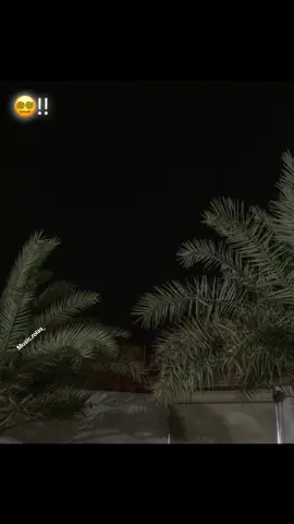 #gataonly  #viral  #parati  #lirysmusic🎶  #paraestados  #music  #hazme_viral  #colombia  #spotify  #paratiiiiiiiiiiiiiiiiiiiiiiiiiiiiiii  #😍  #fbyツ 