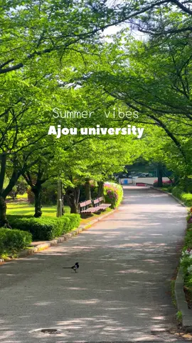 Nhìn là yêu gòi #ajouuniversity #아주대 #duhocsinhhanquoc #summervibes 