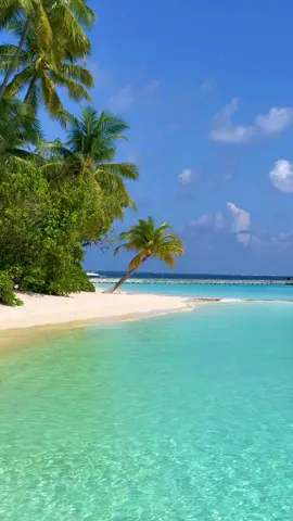 Maldives🇲🇻 #maldives #Maldivas #Visitmaldives #novamaldives #beautifuldestinations #swissbeautiful #traveltiktok #maldivesvacation @Nova Maldives @Visit Maldives 