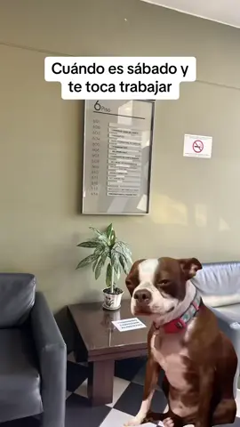 #CapCut 🥲🤣 ya basta #trabajo #findesemana #descanso #oficina #work #corporate #corporategirlies #fyp 