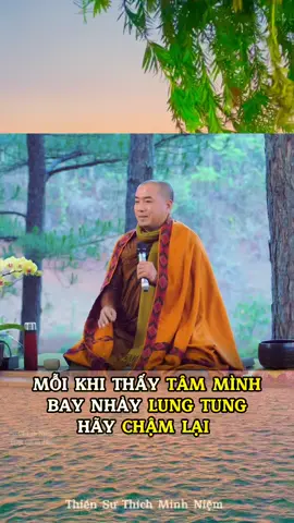 Mỗi khi thấy tâm mình bay nhảy,hãy sống chậm lại. Thiền sư Thích Minh Niệm #suminhniem #thiensuthichminhniem#thiensanh #thienhanh #hanhthien #thien #songcham #binhan #trilieutamly  #xuhuong