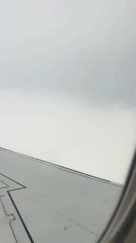 flight, booked 