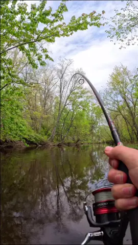 How To Catch Big Fish #fishing #tightlines #bigfish #Outdoors #fish #tiktok #fyp #viral #foryou 