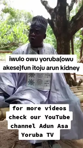 iwulo owu yoruba(owu akese)fun itoju arun kidney