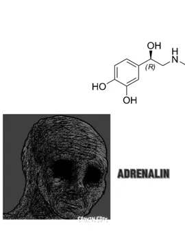 Adrenalin->vücudun direncini artırır. Kan basıncının artması, kalp hızının artması, göz bebeklerinin büyümesi ve kan şekerinin yükselmesi, adrenalin salgılandığında oluşan olaylardır. NORADRENALİN ->Noradrenalin tehlike anlarında vücutta kaç yada öldür tepkisi devreye sokmakla görevlidir.  #adrenalin #noradrenalin #tehlike #fyp #kesfet #fypシ #freeedit 