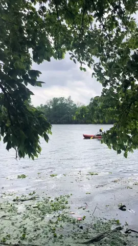 i loved this moment #fyp #kayak #timotheechalamet 