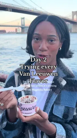 Day 2 of trying every Van Leeuwen flavor kniwn to man 😭 #vanleeuwen #vanleeuwenicecream #vanleeuwenpartners #vanleeuwenpartners #nycicecream #icecream #fyp #viral 