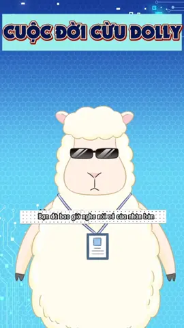 Lịch sử cuộc đời Cừu Dolly #tieumaomao #cuudolly #xuhuong 