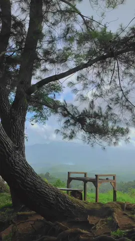Mesranya ayam #capcut #pohon #meja #kursi #pemandangan #bukit #cendana #bukitcendana #langitaesthetic #fyp #fypシ 