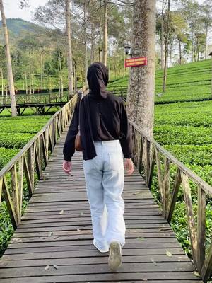 Suka ijo ijo hihi  #fypシ #padahariini #fyp #xyzbca #fypシ゚viral #wonosobo #kebunteh 