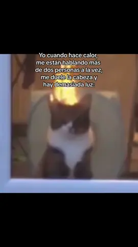 CALLENSE, DEJENME PLIS.😭😭#foryoupage #foryou #tiktok #fypシ #parati #xyzbca #viral #zyxcba 