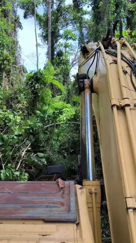 main di hutan lagi🫣 #masukberanda #4u #fyp #excavator #operator_excavator #operatormuda #storykerja #lagutimur #papua #papuatiktok #papuapride 