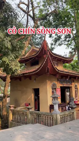 Cô Chín Sòng Sơn#thanhcocuutinh #cochinsong #cochin #tuphuthanhco #dieuthanhluong #densongson #cochinsongson  @Diệu Thanh Lương 