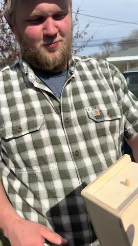 Spider box pranks are the best 