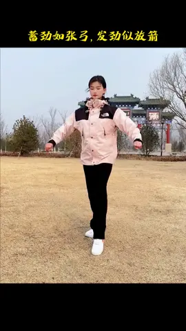 蓄劲如张弓，发劲似放箭！ #太极 #武术 #用太极拳打开2024 #一见爱上传统文化