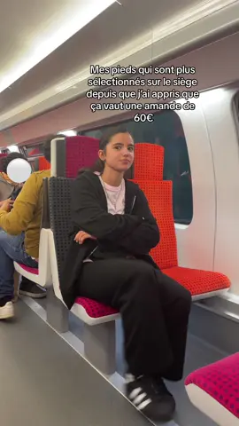 La SNCF regardez pas cette video je suis pas un bandit promis 😞🙏 #passelectionné 