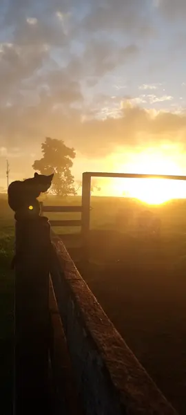 Aquele nascer do sol lindo. obrigado senhor por mais esse dia. bomm diaaaaa. #bomdia #abençoadodia #amanhecer #roçaafazenda #gratidão💓💓💓💓 #féemdeus #sertãonordestino #paz 