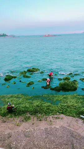 Nha Trang tôi yêu ! #Ny #nhatrangtoiyeu #xuhuong 