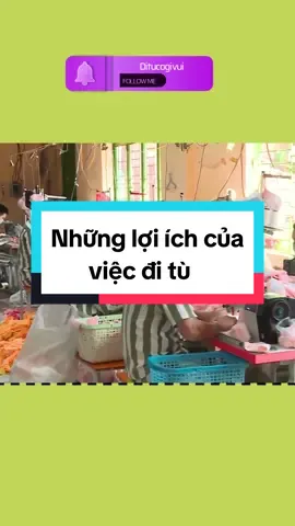 Những lợi ích của việc đi tò (tù) không phải ai cũng biết? #ditucogivui #đitùcógìvui 