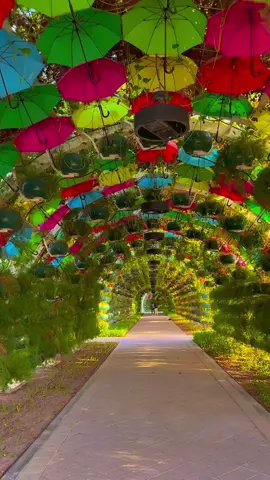 📍 Umbrella park doha 🇶🇦 ☂️⛱️🌿🌺#lifeinqatar #Summer #fyp 