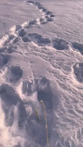 #fypシ #explore #اكسبلور #اكسبلورexplore #الرياض #السعودية #ثلج #هاشتاق 