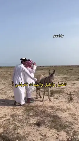 #سيف_ال_عمار #علي_الجعيدي #حمود_المصارير #اكسبلور #رياكشن @سيف ال عمار @علي الجعيدي 