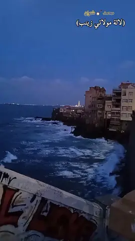 محمد شتوان (لآلة مولاتي زينب)#شعبي_جزائري #محمد_شتوان #chaabidz #fypシ゚viral #foryoupage #foryoupage #foryou #viral #viralvideo #video #viraltiktok #tiktok #fyp #chaabidz #الجزائر🇩🇿_تونس🇹🇳_المغرب🇲🇦 #