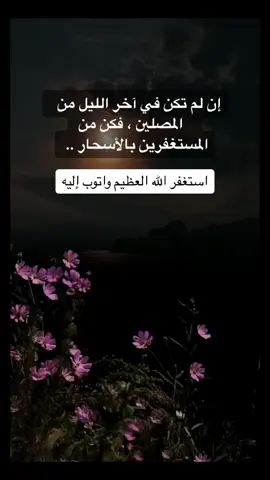 #اكسبلور #تلاوة_خاشعة #سعود_الشريم #الثلث_الأخير_من_الليل #الوتر_جنة_القلوب #explore #foryou #trending #viral 