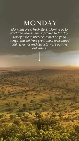 #mondays #mondaymotivation #mondaymood #mondayvibes #mondays #mondaymorning #newweeknewgoals #newweekstart #qoutes #qouteoftheday #motivationalqoutes #motivationalvideo #viral #viralvideo #graditude #blessed 