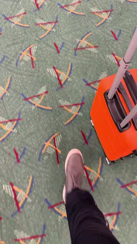 Quick two week vacation to Leicester and #Paris wonderuk time! Cant wait to go back! #travel #Eurostar #fun #voyage 