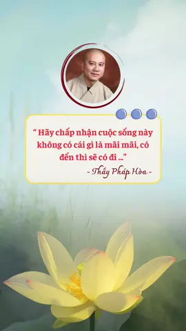 Hãy chấp nhận cuộc sống này cái gì đến rồi cũng sẽ đi và không có gì là mãi mãi... #tuetamhocphat🍀 #tutaptaigia🍀 #xuhuong #phatphapnhiemmau #chisephatphap🍀 #phapthoai #phapthoaithayphaphoa #nammobonsuthichcamauniphat 