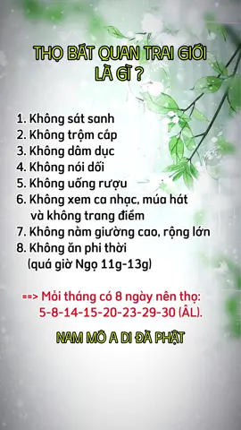 Thọ Bát Quan Trai Giới Là Gì? #phatphap #nammoadidaphat #batquantraigioi #xuhuong #phatgiao #tutap 